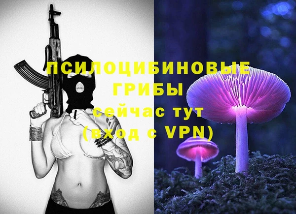 mdpv Волоколамск