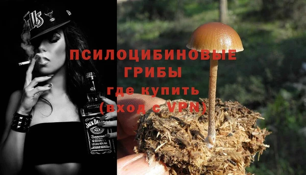 первитин Володарск
